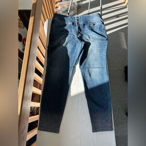 Lane Bryant High-Rise Jeggings